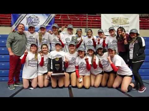 Navarro College Volleyball - 2019 National Champions