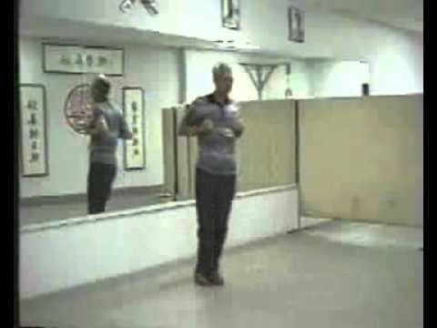 Grandmaster Chu Shong Tin - Wing Chun Empty Hand Form Biu Jee