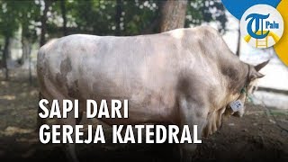 Download lagu Gereja Katedral Serahkan 1 Sapi ke Masjid Istiqlal mp3