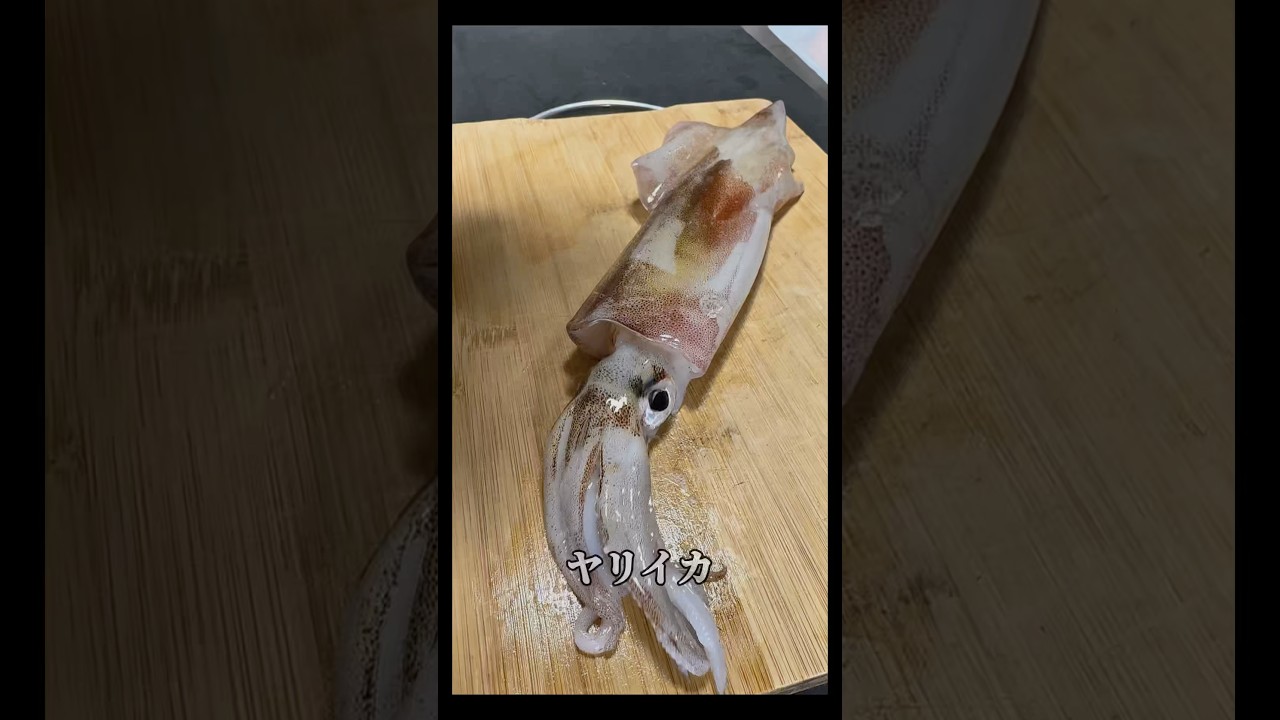 【イカ蒸してみ？】飛ぶぞ🤤#魚 #asmr #ヤリイカ#釣り#レシピ#shorts