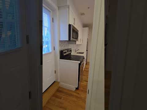 video 1