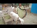 Today Visit My Village Desi Hot Pakistani Village Vlog Hot Pakistani Young Girl Vlog