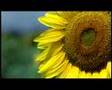 Werbung - Volkswagen - Das Auto. (2007) 