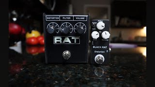 Video thumbnail for The Mosky Audio Black Rat vs The Proco rat! Presented by AJL music! by Aaron J Livecchi