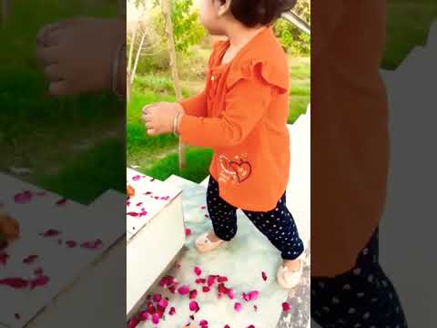 #shortvideo #flowers #petals