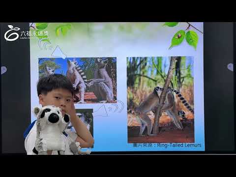 國小中年級英文組季軍 -2025六福永續獎: 最佳人氣影片