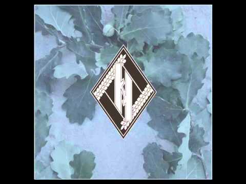 Nevod - Mein Weltanschauung XX