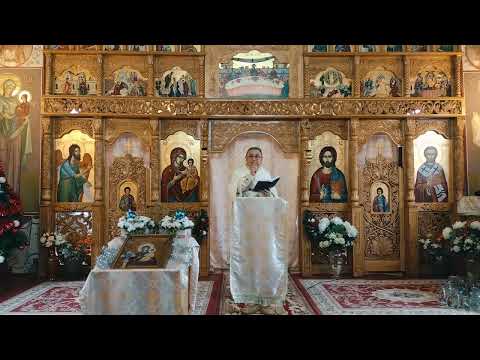 Pr. Nicolae Pavel - De ce S-a Botezat Hristos?