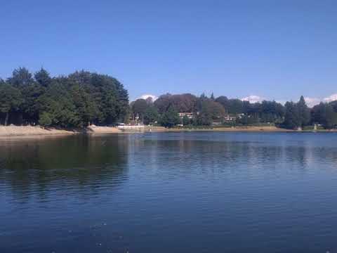 Phentermine topiramate Wikipedia Article Audio