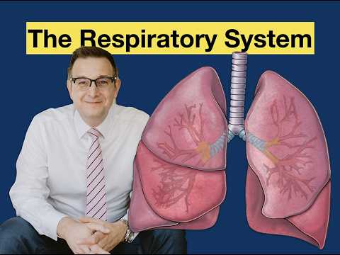 The Respiratory System #respiration #lungs #alveoli #pleural