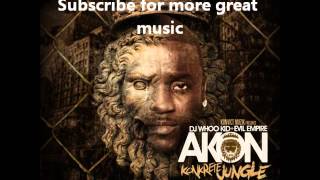 03 - Akon CaShin Out (Re-remix).wmv