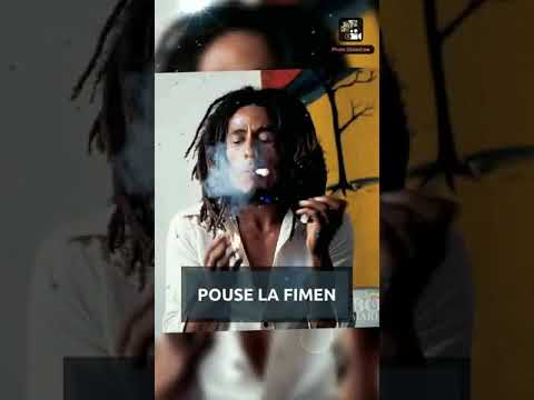 RASTAMAN RENMEN GANJAH BY RAS LION