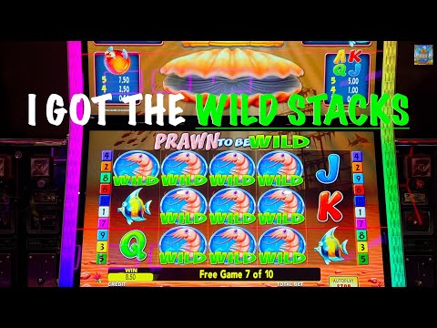 Prawn to be wild RED PRAWN and a GREAT ENDING?