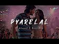 PYARELAL (প্যারেলাল) | Lofi Song ✨ | Dui Prithibi | Slowed and Reverb Song ..