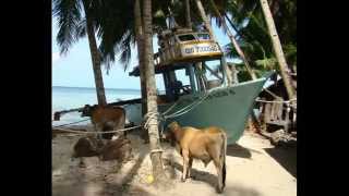 preview picture of video 'Siquijor Philippines Slideshow - Not Your Typical Vacation Photos'