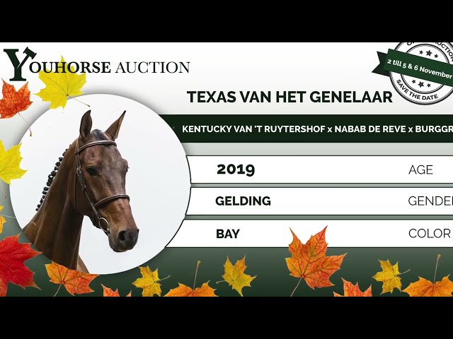 Texas homevideo