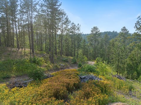 5.2 Acres for Sale in the Black Hills of South Dakota!