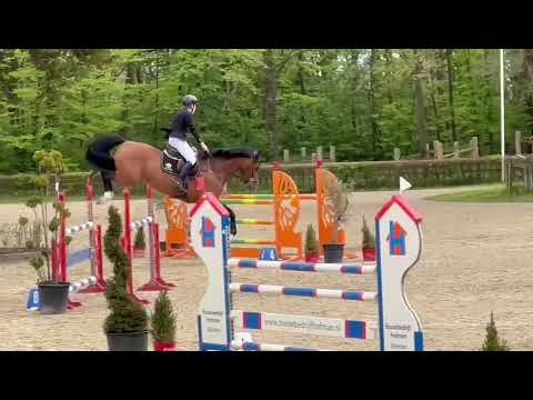 Lamaze TN (Grandorado X Carthago) & Kars Bonhof @Wierden 2023