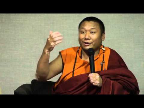 Tulku Dakpa Rinpočhe - Sloboda od negatívnych emócii