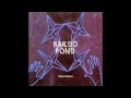 Bardo Pond-Moonshine