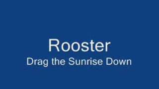 Rooster Drag the Sunrise Down