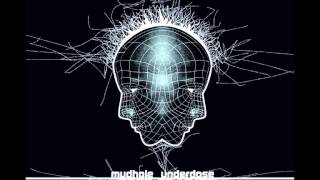 Underdose - The Good Citizen (Dose of Mud, 2012)