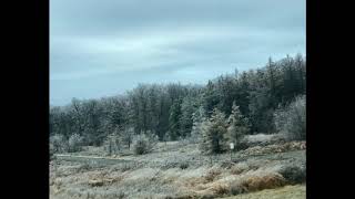 A Child Is Born In Bethlehem