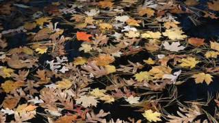 Again       ( Janet Jackson   Lyrics)