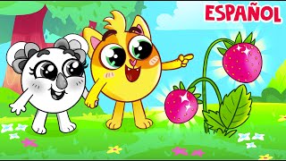 Canción Encuentra Mi Color 💛😻💚 | Baby Zoo Español Canciones Infantiles 😻🐨🐰🦁🐵
