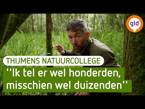 Thijmen vertelt over de beeksteenvliegen in de Achterhoek | BuitenGewoon