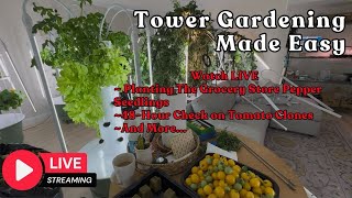 Tower Gardening Made Easy LIVE CAM #towergarden #hydroponicgardening #garden #farm #aeroponic