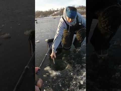 Walleye HOOK SET + Release (Ice Fishing)