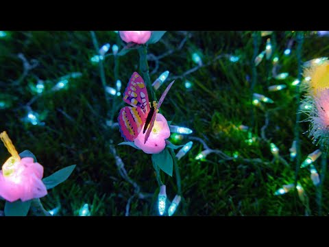 The Quintero Family's Peacful Meadow Delights (WINNER) - The Great Christmas Light Fight