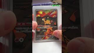 Pokémon Card Bargain Hunting Ep.16 #pokemoncards #pokemontcg #pokemon
