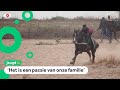 Fallou wil de snelste worden met paardenracen