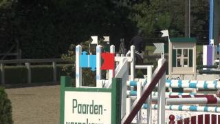 Video von Orchid's JoJo