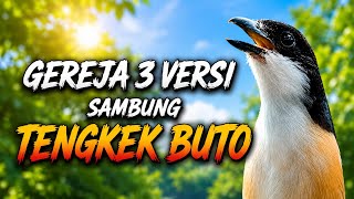 Download lagu MASTERAN CENDET MATERI GEREJA 3 VERSI sambung TENGKEK BUTO PALING LARISS TAHUN INI !!! mp3