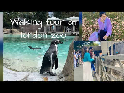 Walking tour /london zoo 🦒