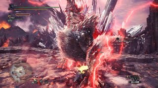 モンスターハンターワールド：アイスボーン_20260208220145