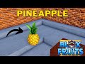 Where Is Pineapple In Blox Fruits Pineapple Location Third Sea