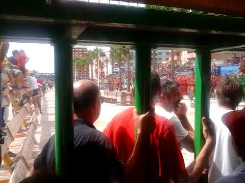 bull teasing benicarlo 6