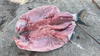 MATRINXÃ ASSADA NO SISTEMA BRUTO E PESCA DE JUNDIÁ TIGRADO. VIVENDO EM UMA ILHA.