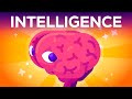 What Is Intelligence? Where Does it Begin?