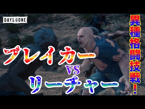 【DAYS GONE】ついに頂上決戦！ブレイカーVSリーチャー 異種格闘技戦！【デイズゴーン】【PS4】【攻略】【検証】【ネタ】