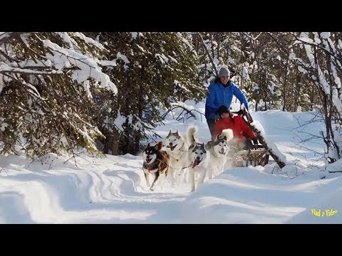 Systems In Blue - System In Blue (Alimkhanov A.  RMX-Instrumental)