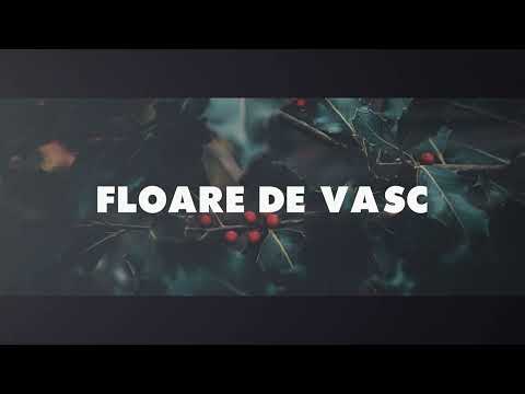 Yenic feat. Dibaci - "FLOARE DE VASC" (Lyrics Video)