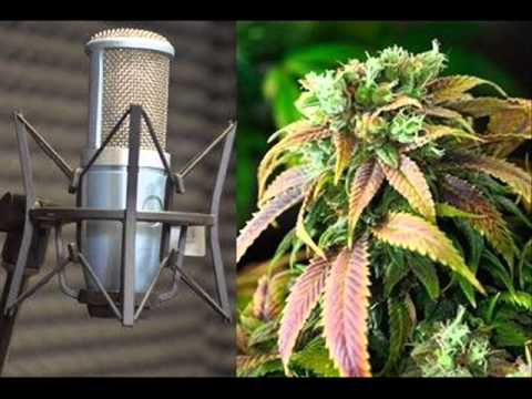 Majkel Miki - Untitled Studio Relaks