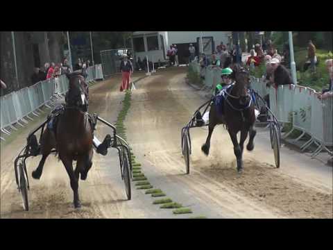 Samenvatting kortebaan Roden 2016