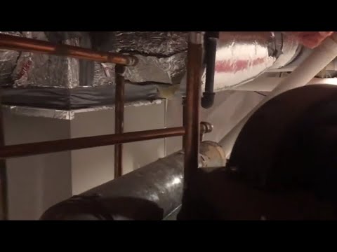 BIOE Lec 23 - Heat Transfer in Pipes