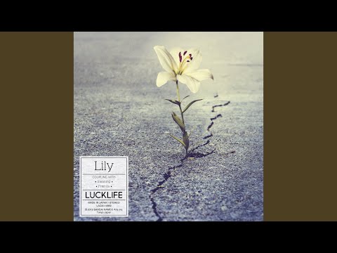 Lily
